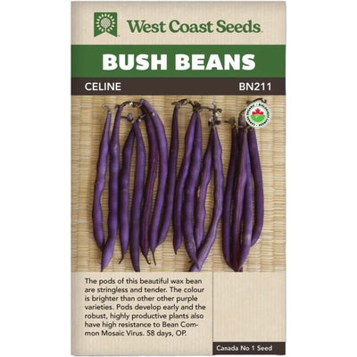 Bean Celine - West Coast Seeds