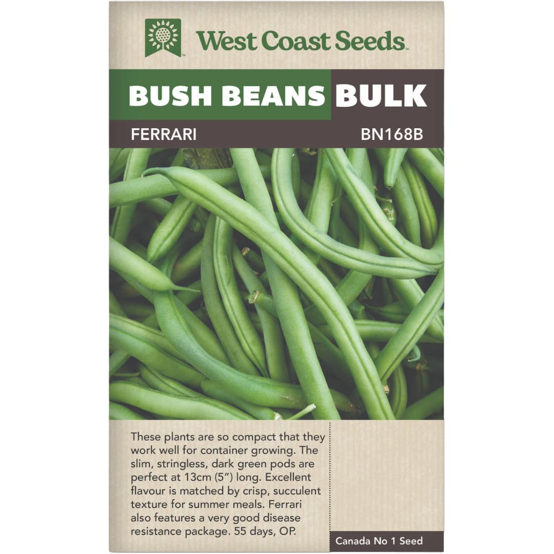 BULK Bean Ferrari Bush - West Coast Seeds