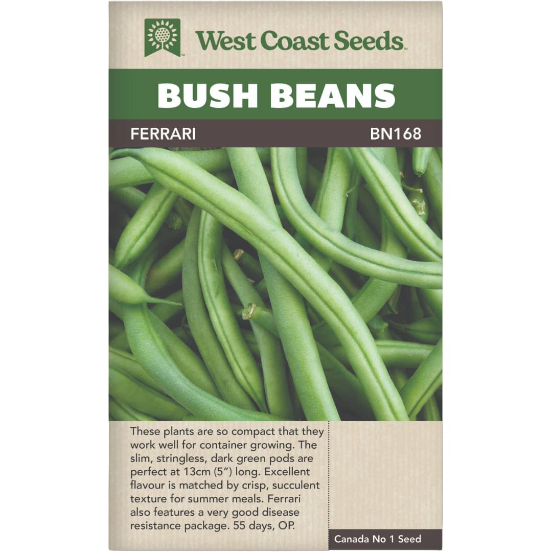 Bean Ferrari Bush - West Coast Seeds