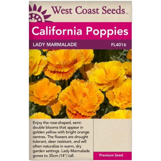 California Poppy Lady Marmalade - West Coast Seeds