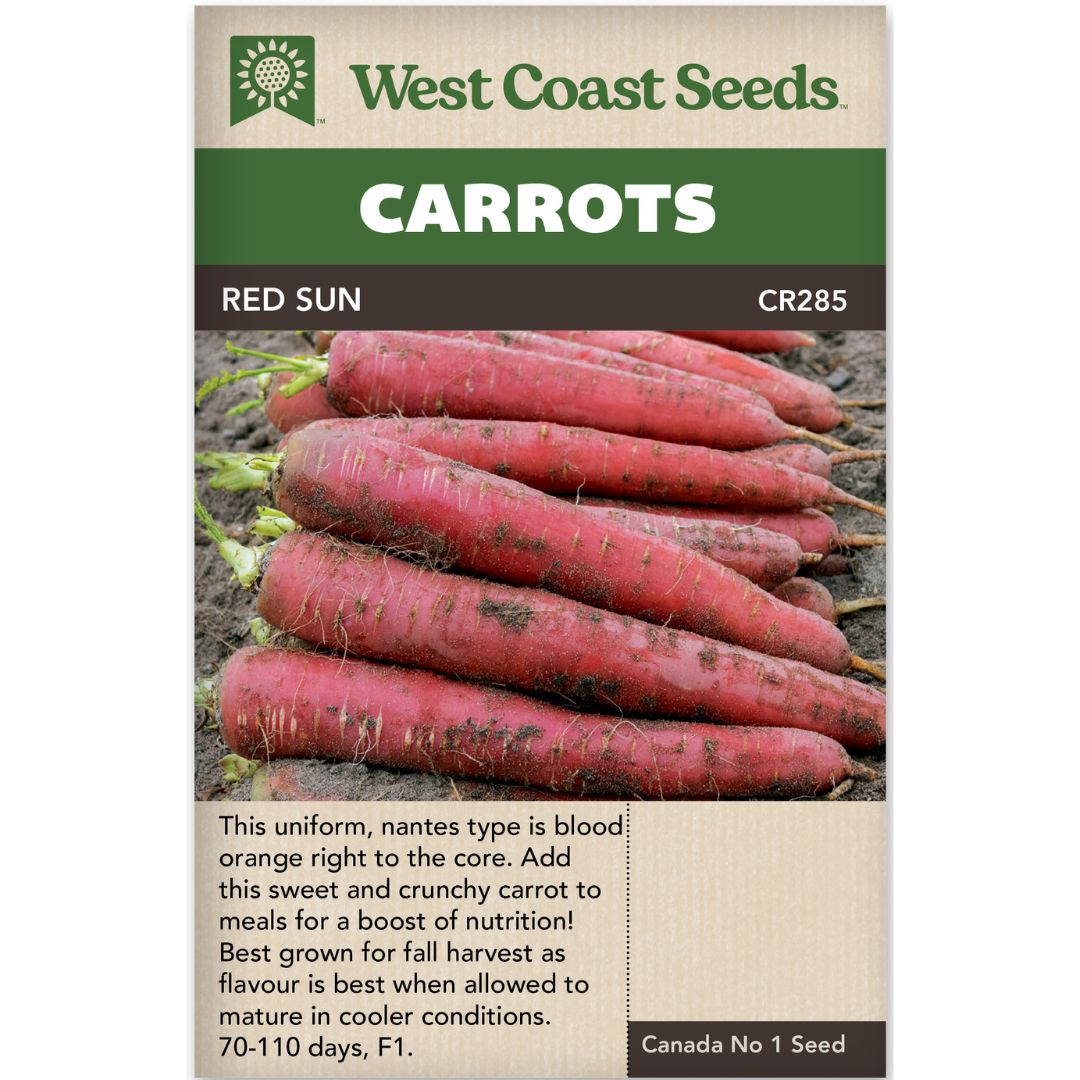 Carrot Red Sun F1 - West Coast Seeds