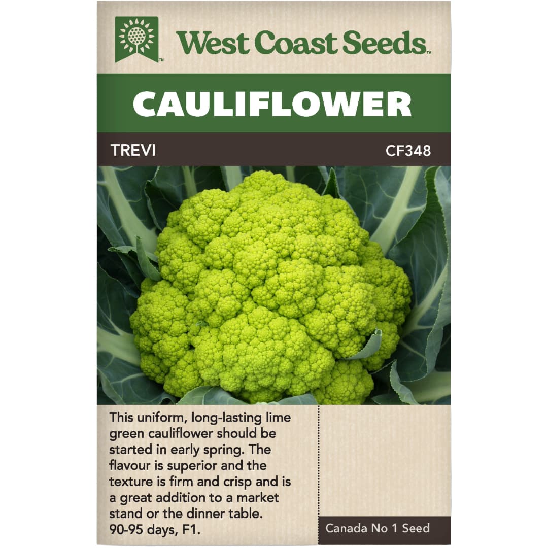 Cauliflower Trevi F1 - West Coast Seeds