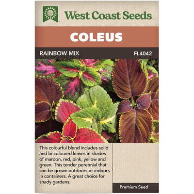 Coleus Rainbow Mix - West Coast Seeds