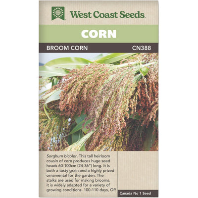 Sorghum Broom Corn - West Coast Seeds