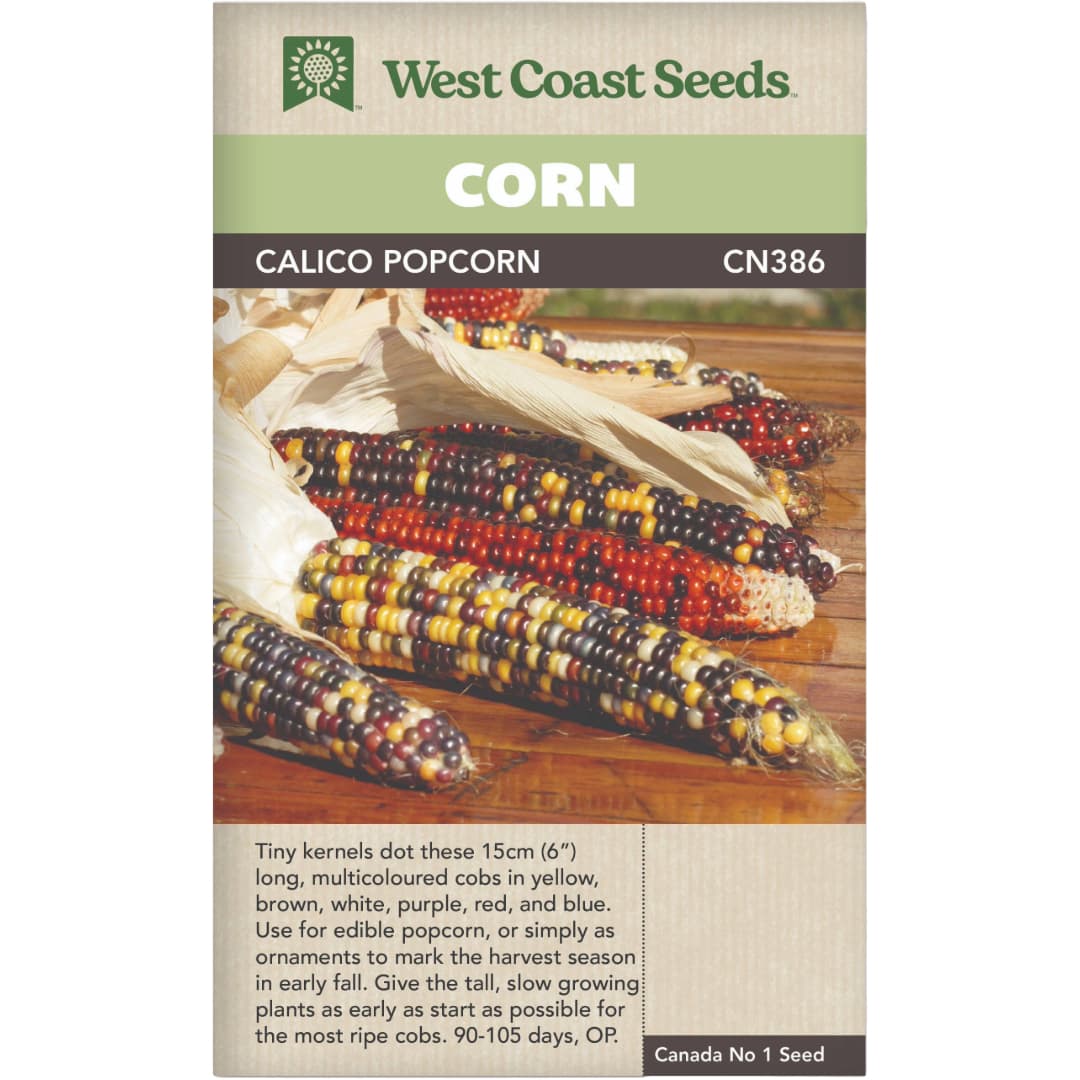 Corn Calico Popcorn - West Coast Seeds