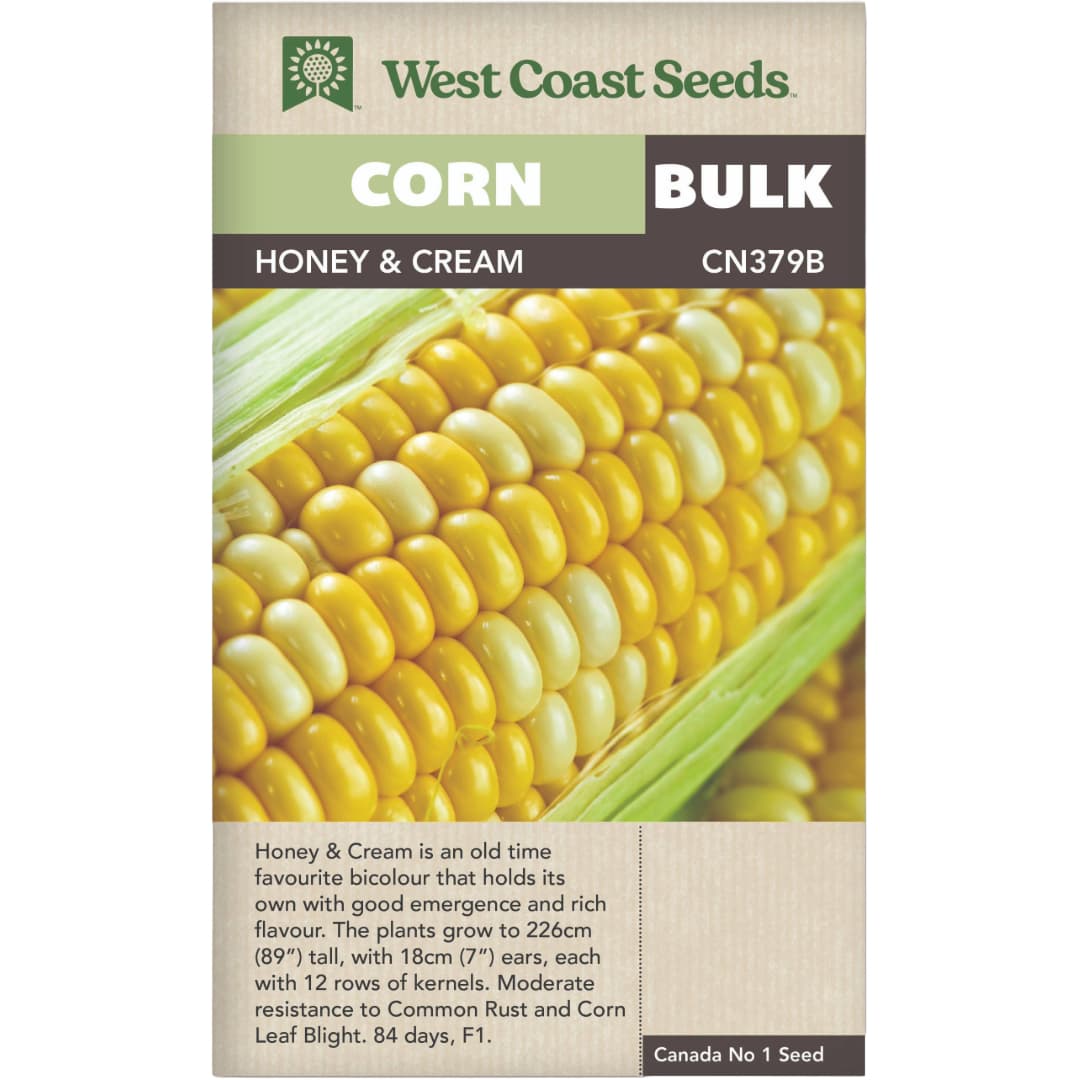 BULK Corn Honey & Cream - West Coast Seeds