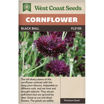 Cornflower Black Ball - West Coast Seeds