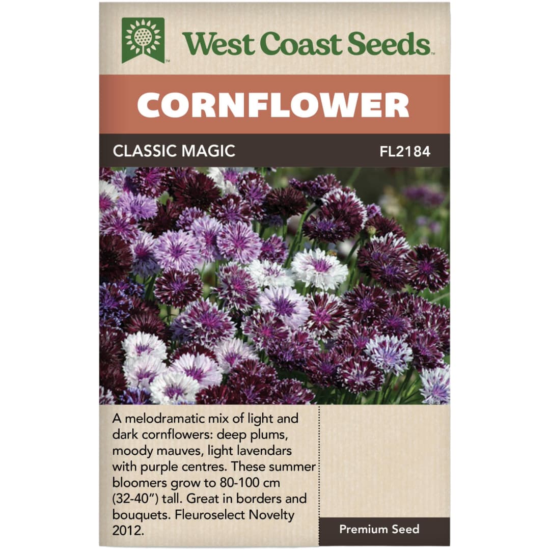 Cornflower Classic Magic - West Coast Seeds