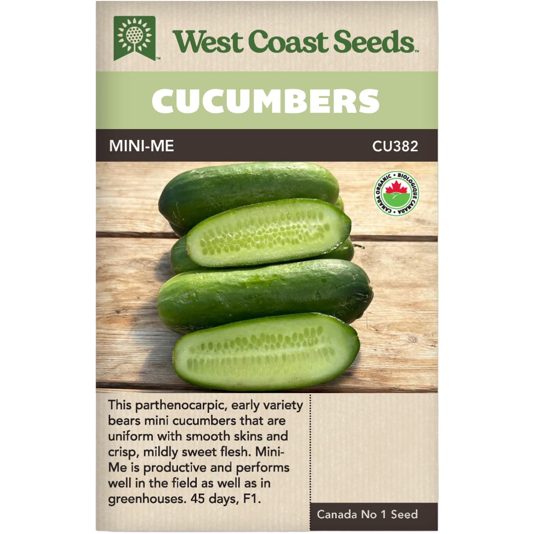 Organic Cucumbers Mini-Me F1 - West Coast Seeds