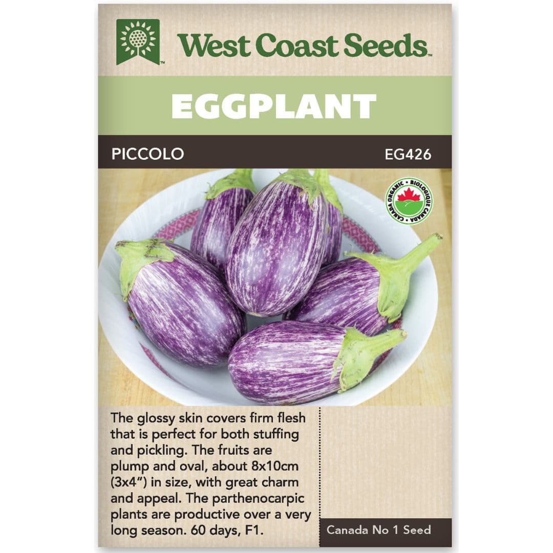 Organic Eggplant Piccolo - West Coast Seeds