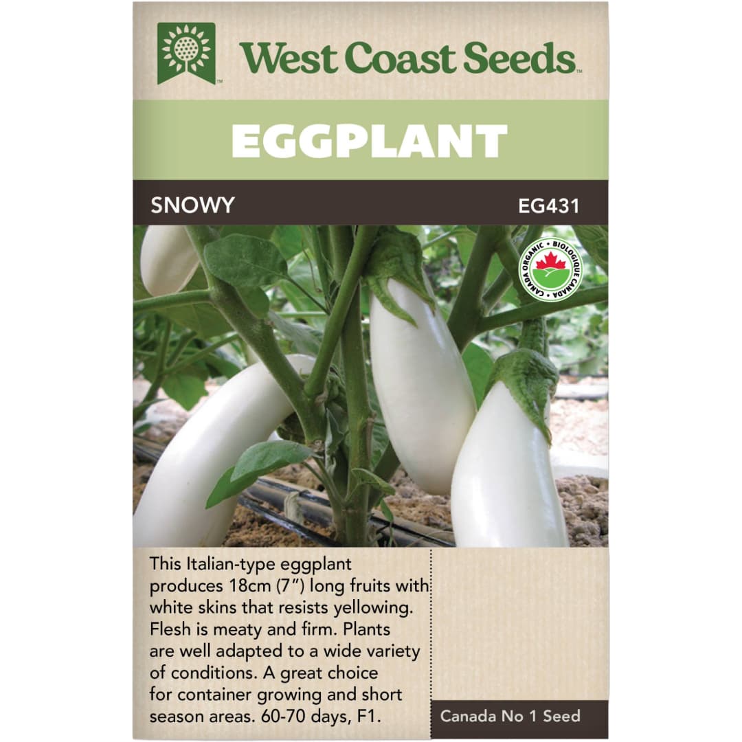 Eggplant Snowy - West Coast Seeds