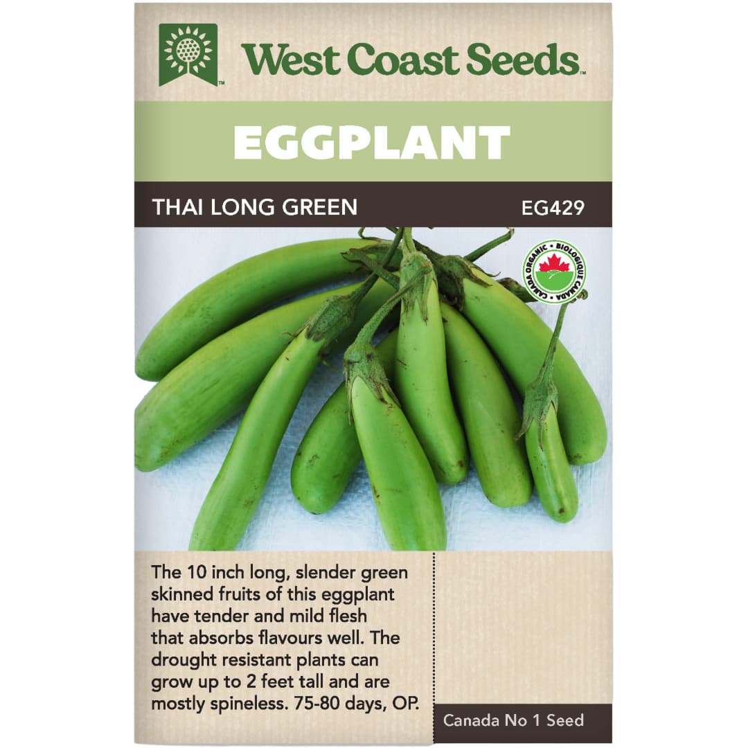 Organic Eggplant Thai Long Green - West Coast Seeds