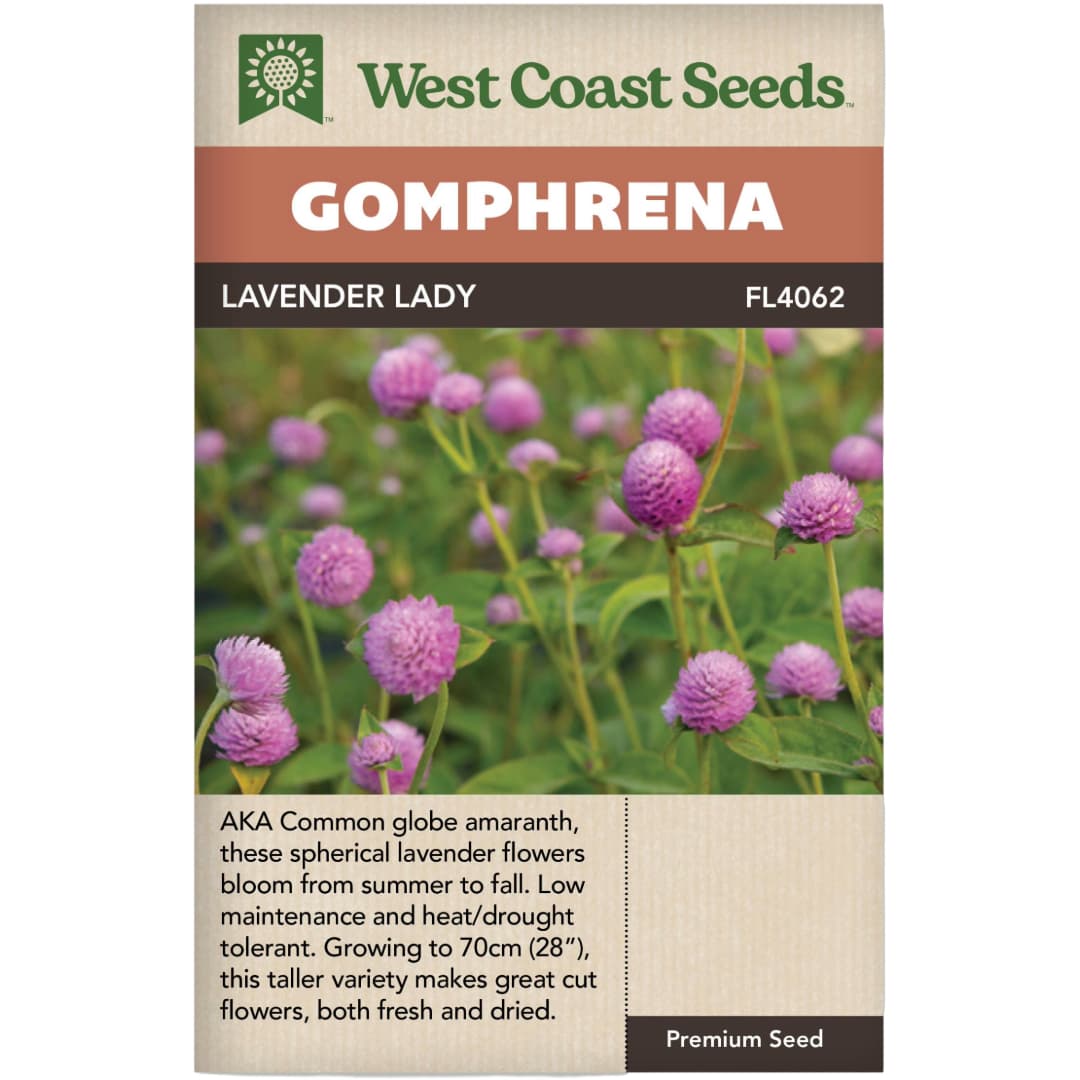 Gomphrena Lavender Lady - West Coast Seeds