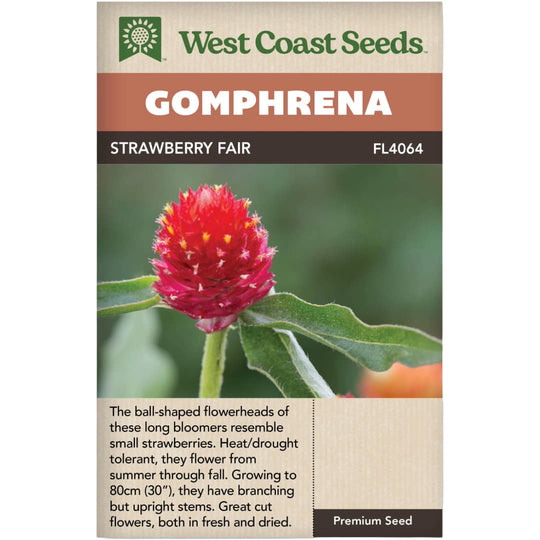 Gomphrena Strawberry Fair - West Coast Seeds