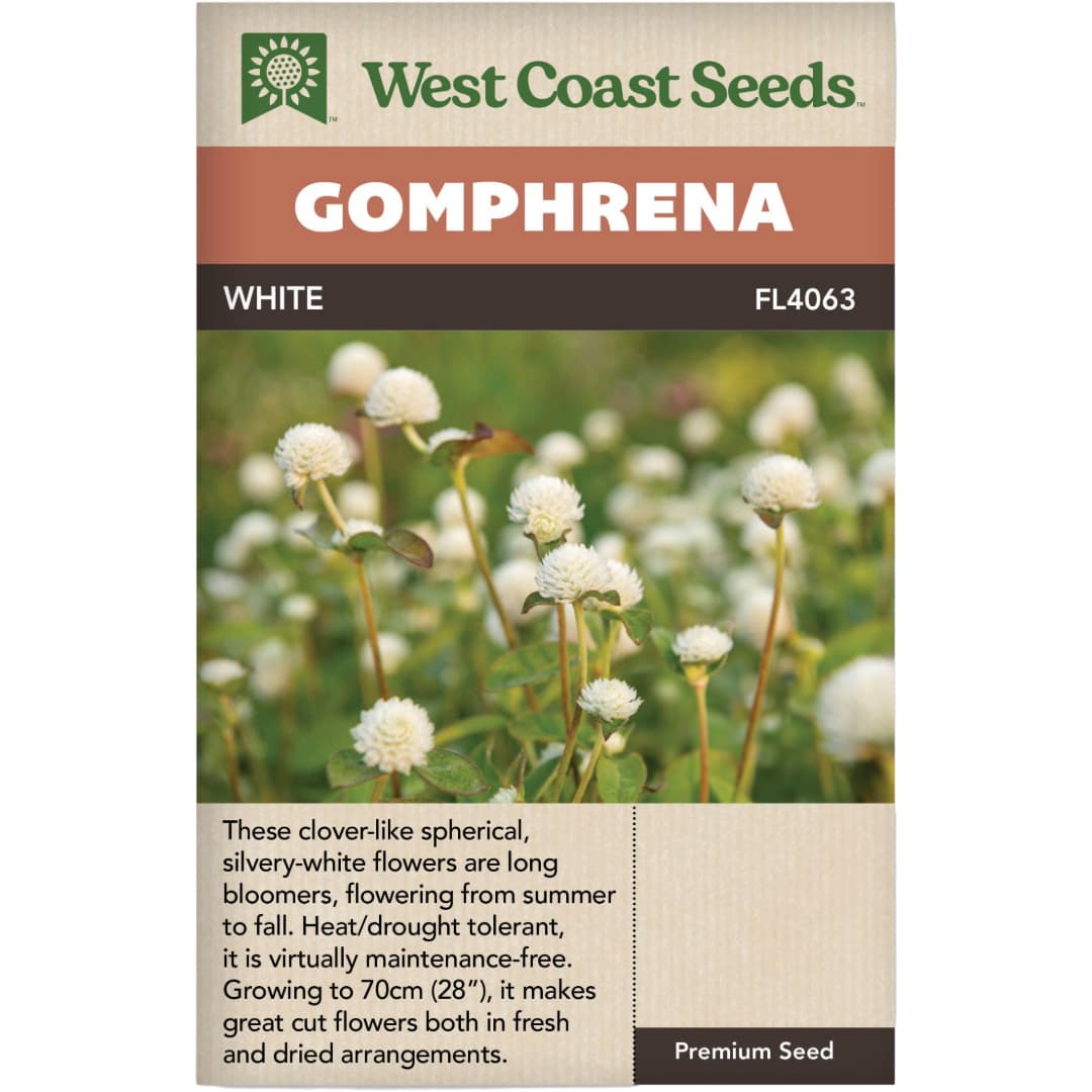 Gomphrena White - West Coast Seeds