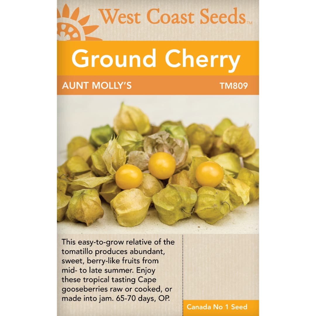 Ground Cherry Aunt Molly's - West Coast Seeds