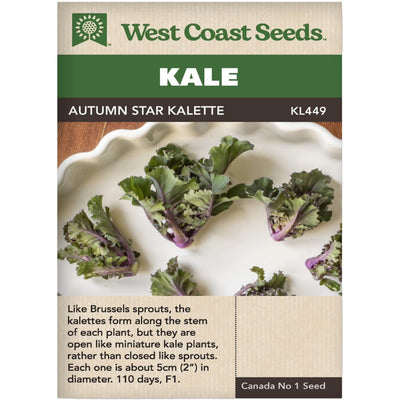 Kale Autumn Star Kalette - West Coast Seeds