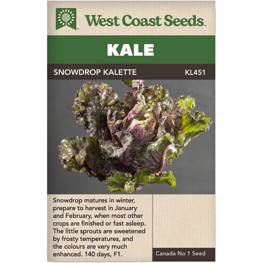 Kale Snowdrop Kalette - West Coast Seeds