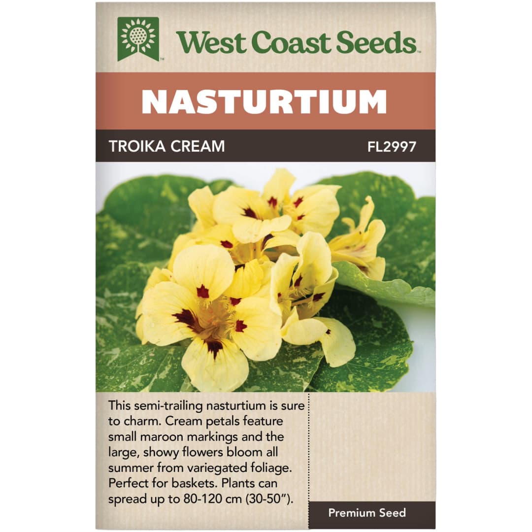Nasturtium Troika Cream  - West Coast Seeds