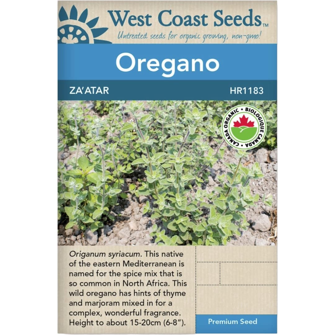 Organic Oregano Za'atar - West Coast Seeds