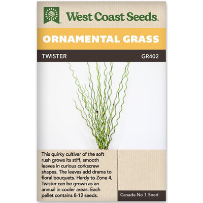 Ornamental Grass Twister - West Coast Seeds