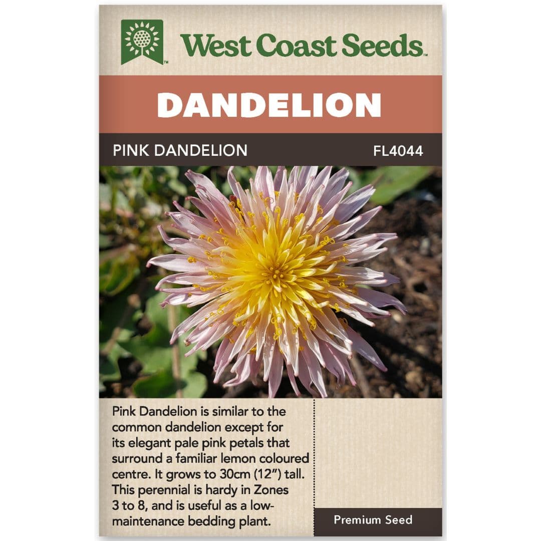 Dandelion Pink - West Coast Seeds