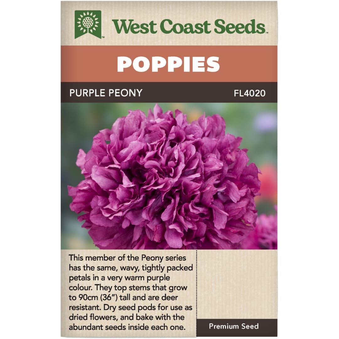 Poppy Purple Peony - West Coast Seeds