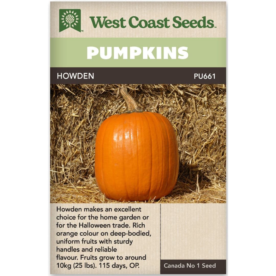 Pumpkin Howden - West Coast Seeds