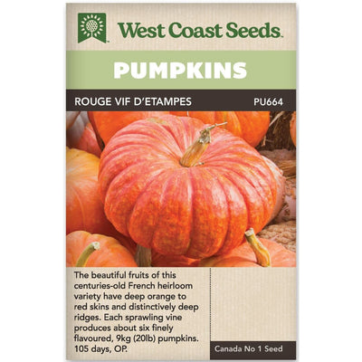 Pumpkin Rouge Vif d’Etampes - West Coast Seeds