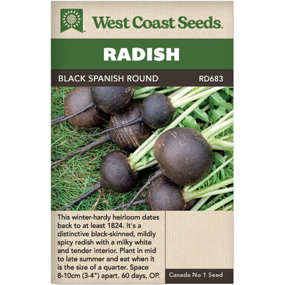 Radish Black Spanish Round - West Coast Seeds