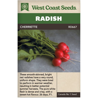 Radish Cherriette - West Coast Seeds