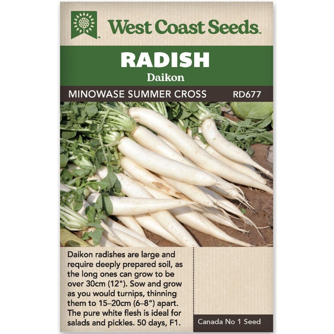 Radish Minowase Summer Cross - West Coast Seeds