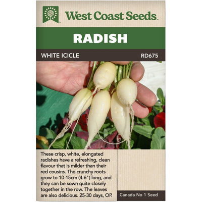 Organic Radish White Icicle - West Coast Seeds
