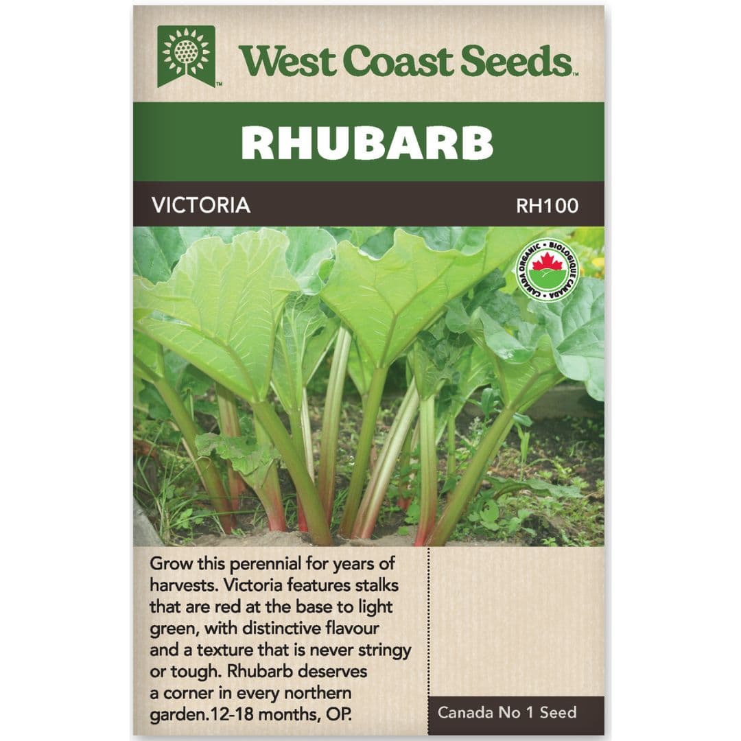 Rhubarb Victoria - West Coast Seeds