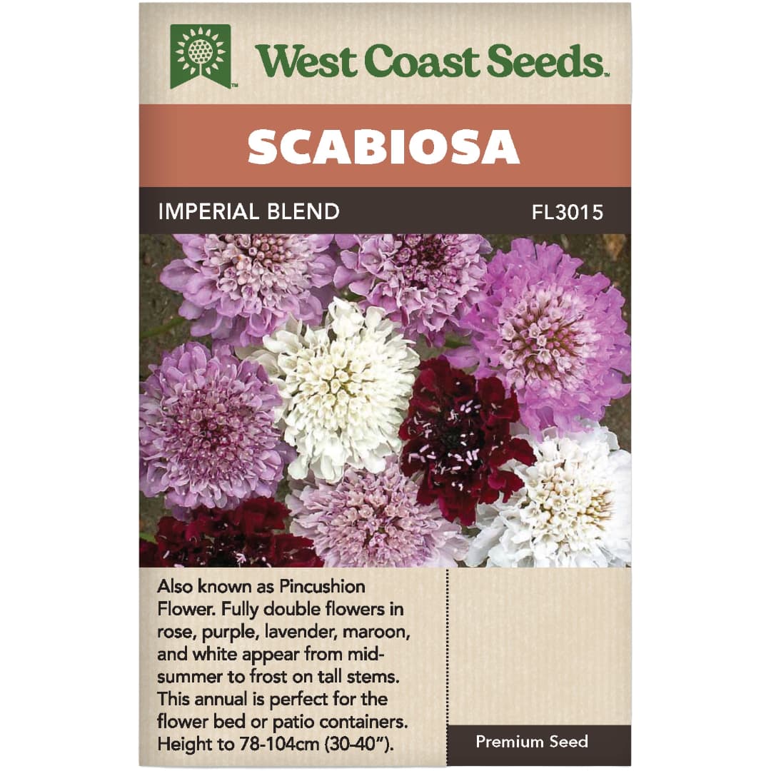 Scabiosa Imperial Blend - West Coast Seeds