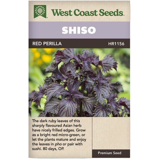 Shiso Red Perilla - West Coast Seeds