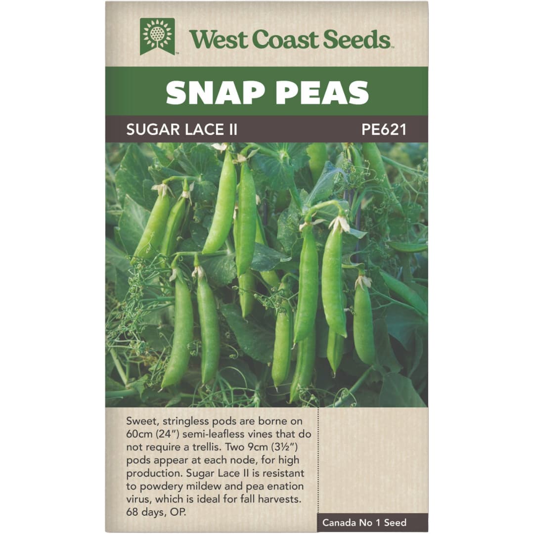Pea Snap Sugar Lace II - West Coast Seeds
