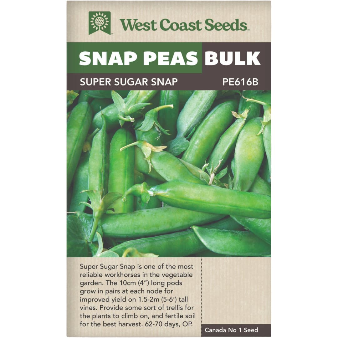 BULK Pea Snap Super Sugar - West Coast Seeds