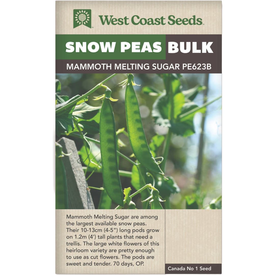 BULK Pea Mammoth Melting Sugar - West Coast Seeds