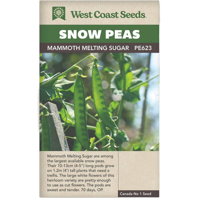 Pea Snow Mammoth Melting Sugar - West Coast Seeds