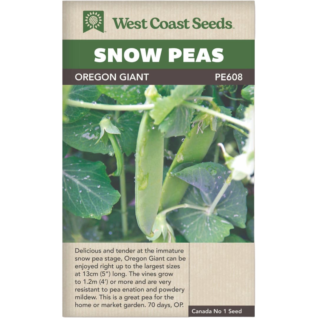 Pea Snow Oregon Giant - West Coast Seeds