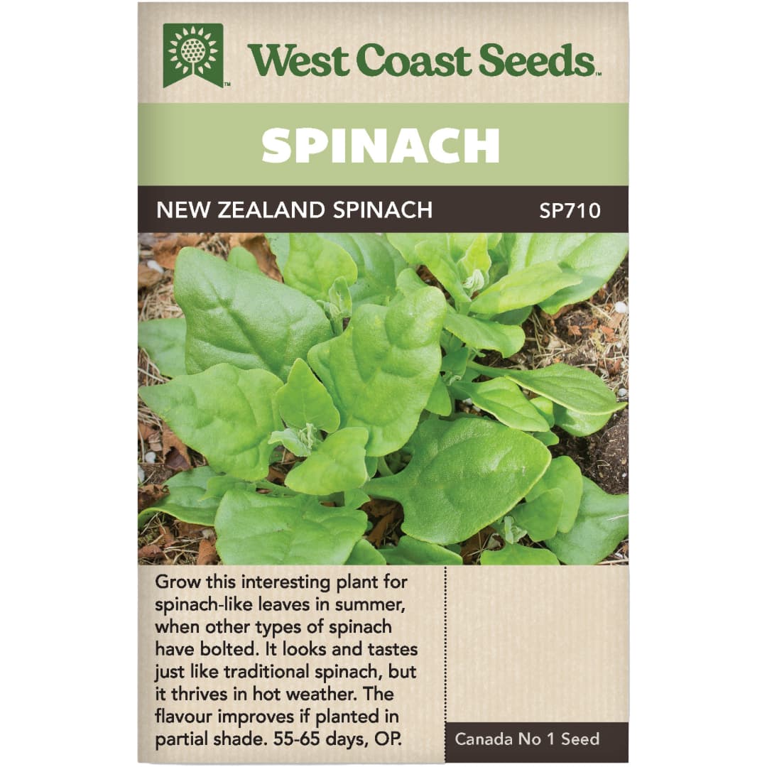 Spinach New Zealand - West Coast Seeds