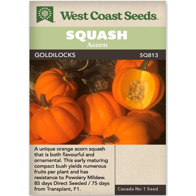 Squash Goldilocks - West Coast Seeds