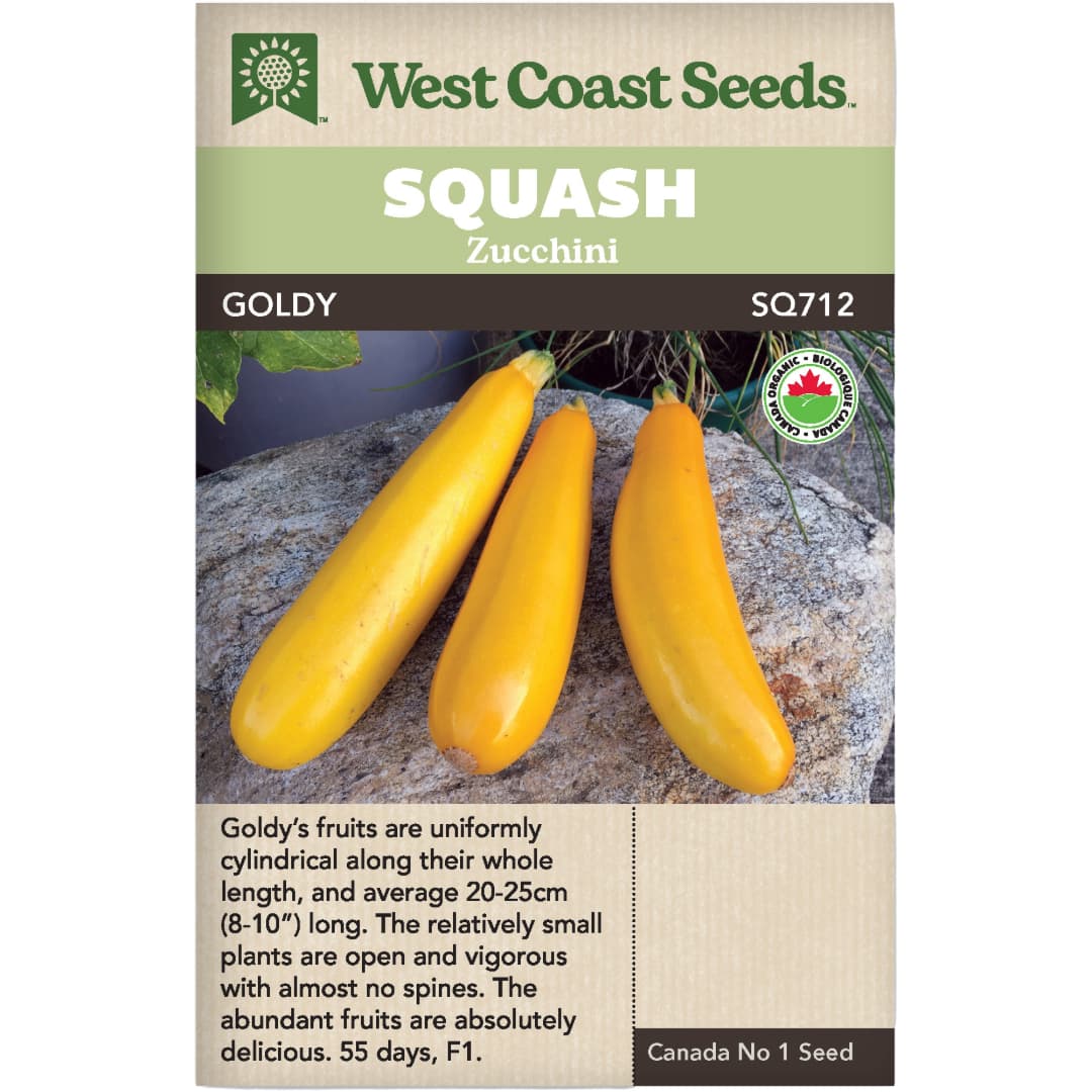 Organic Squash Zucchini Goldy - West Coast Seeds