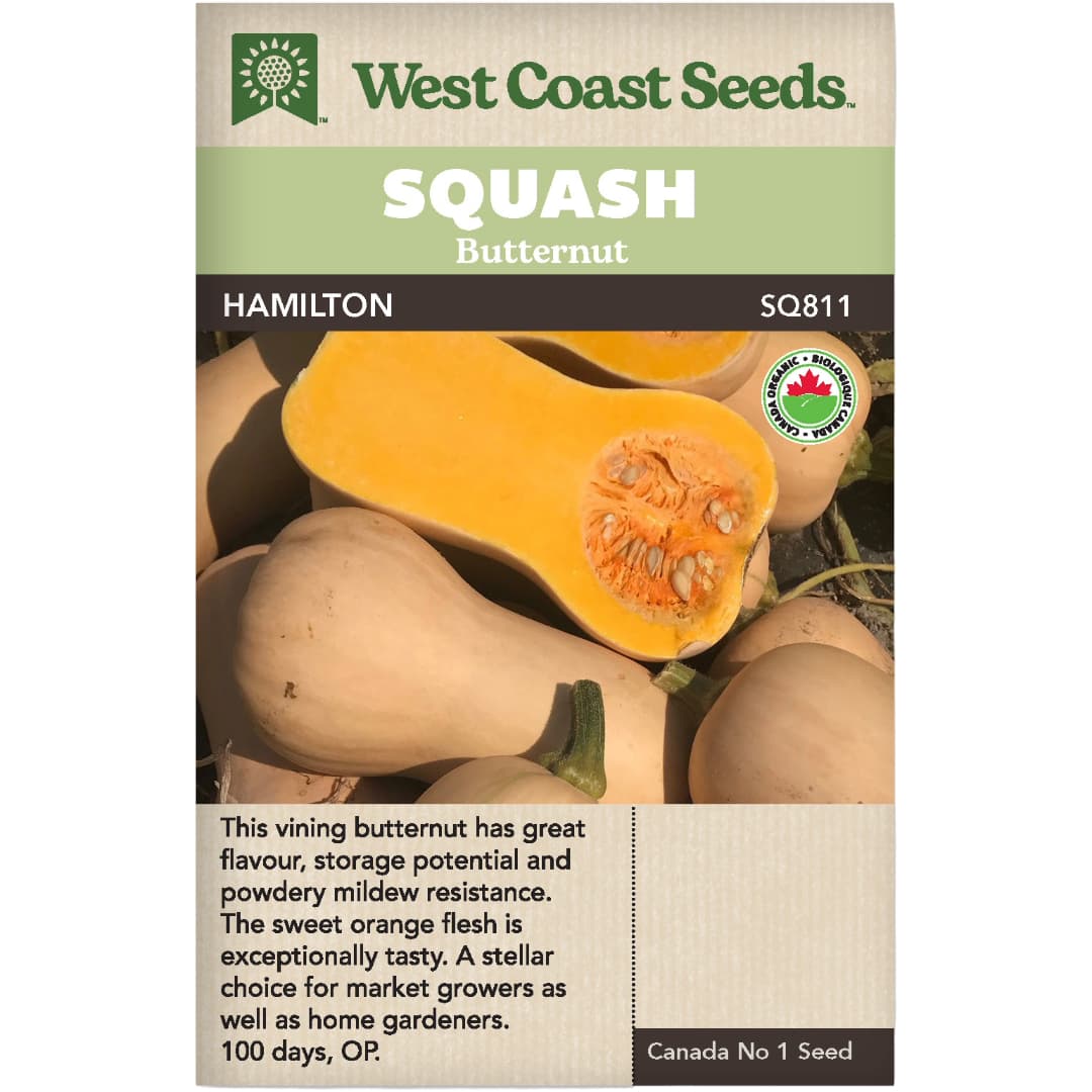 Organic Squash Hamilton - West Coast Seeds