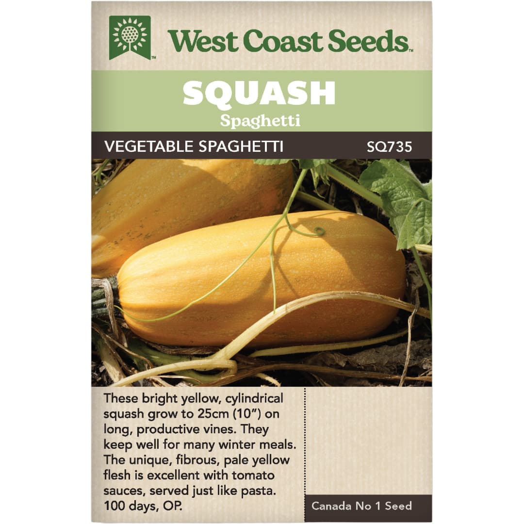 Squash Vegetable Spaghetti - West Coast Seeds