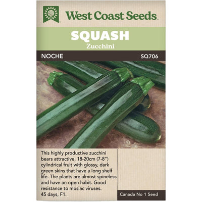 Squash Noche - West Coast Seeds