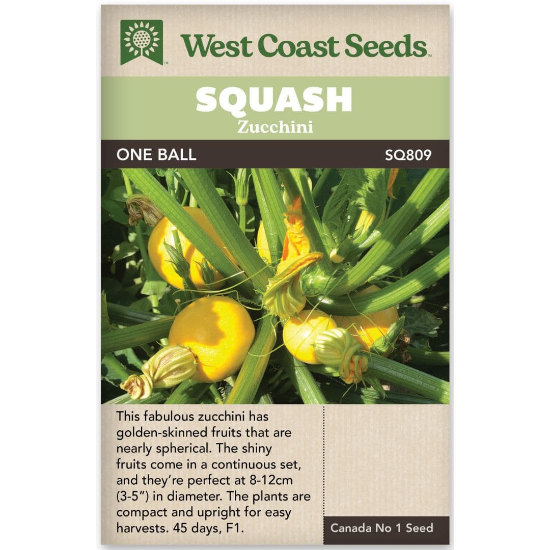 Zucchini One Ball - West Coast Seeds
