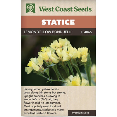 Statice Lemon Yellow Bonduelli - West Coast Seeds