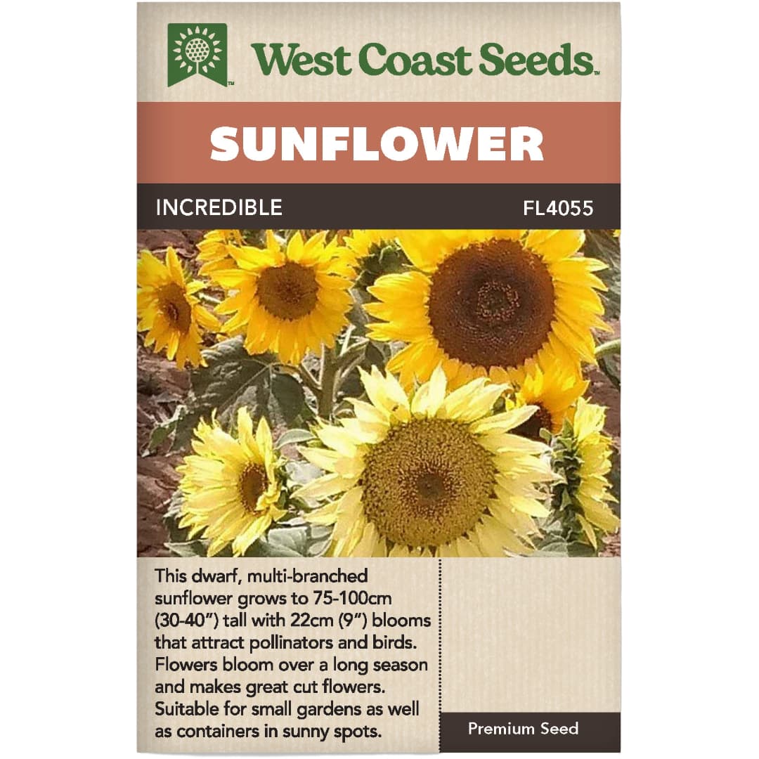 Sunflower Incredible - West Coast Seeds – Wildwood Outdoor Living